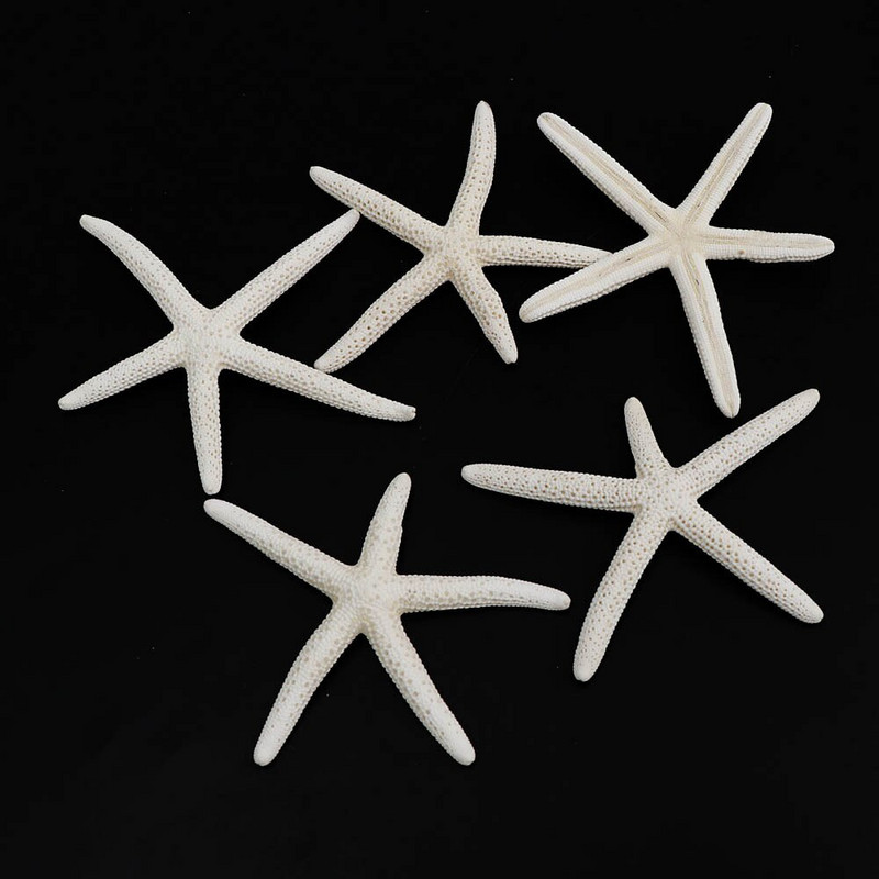 5-8cm 4db kis Starfish Beach Craft Natural Sea Stars kézműves dekoráció barkács kézzel készített kiegészítők