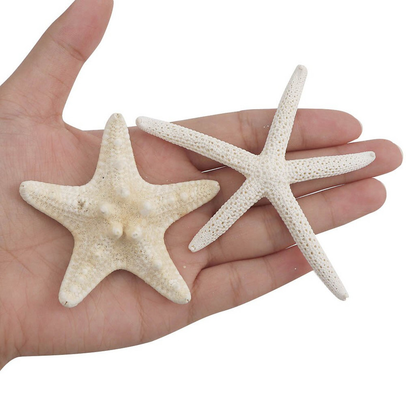 5-8cm 4db kis Starfish Beach Craft Natural Sea Stars kézműves dekoráció barkács kézzel készített kiegészítők