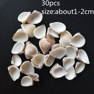 Vegyes kagyló kézműves akvárium tengeri dekoráció természetes mini kagyló kagyló mediterrán