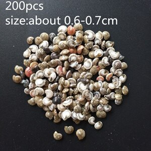 Vegyes kagyló kézműves akvárium tengeri dekoráció természetes mini kagyló kagyló mediterrán