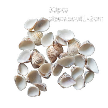 Mixed Shell Crafts Aquarium Nautical Decorations Natural Mini Conch Shells Mediterranean