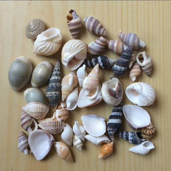 Смесени занаяти от черупки Аквариум Морски декорации Естествени мини раковини Средиземно море