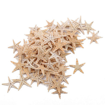 100τμχ Mini Starfish Natural Sea Stars 2-3cm for Home Party Wedding Decor Fish Tank Aquarium Gifts Gifts DIY Crafts Project