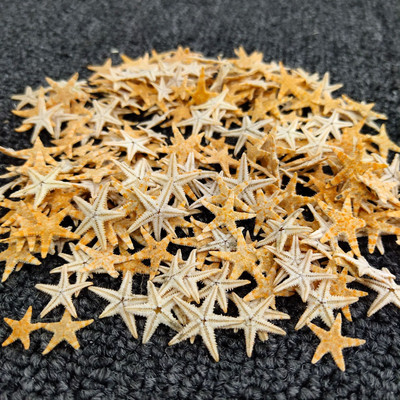 100τμχ Mini Starfish Natural Sea Stars 2-3cm for Home Party Wedding Decor Fish Tank Aquarium Gifts Gifts DIY Crafts Project