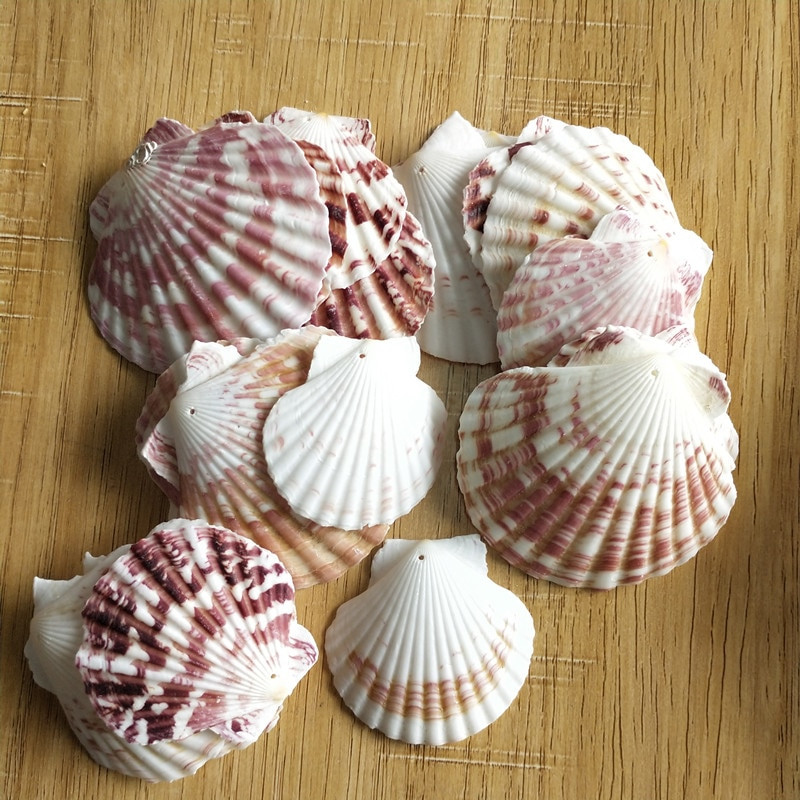 30db természetes dekoráció Beach divat lyuk Tengeri kagylók Tengeri kagylók barkácsoláshoz Caft Decor Ékszer Kézműves Kiegészítők lyukak Shell Charm