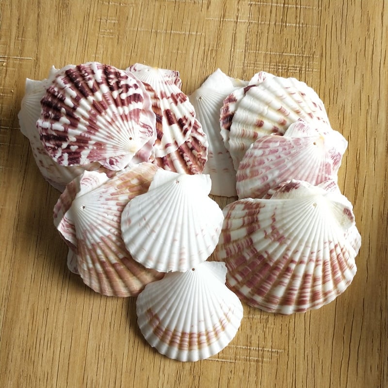 30db természetes dekoráció Beach divat lyuk Tengeri kagylók Tengeri kagylók barkácsoláshoz Caft Decor Ékszer Kézműves Kiegészítők lyukak Shell Charm