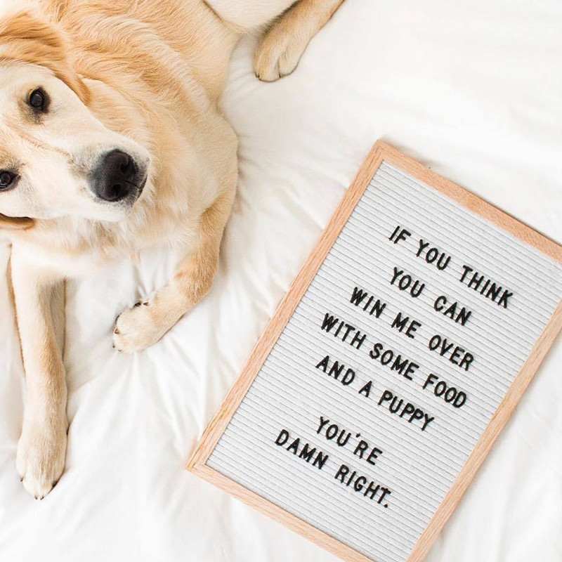 Didelė veltinio raidžių lenta medinis rėmelis, keičiami simboliai, skaičiai su 460 vnt raidžių simboliais, namų biuro pranešimų lentos dekoras