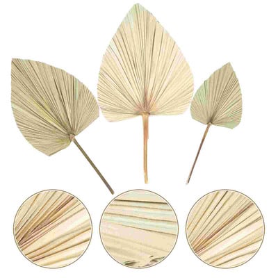 Pálmalevél szárított levelek természetes száraz dekoráció lándzsa dekoráció élénk esküvői elrendezés fotó kellékek