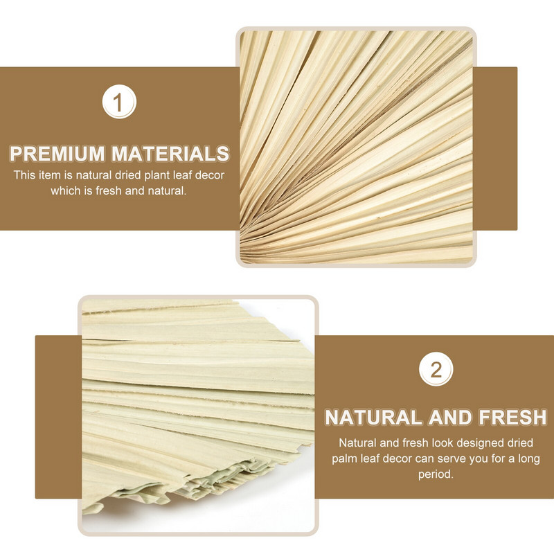 Pálmalevél szárított levelek természetes száraz dekoráció lándzsa dekoráció élénk esküvői elrendezés fotó kellékek