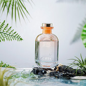 1 buc Bloom of Scentc 180 ml Difuzor de stuf Seturi de difuzor de ulei de aromă Sticle de sticlă Uleiuri esențiale Bastoane de difuzor Purificator de aer