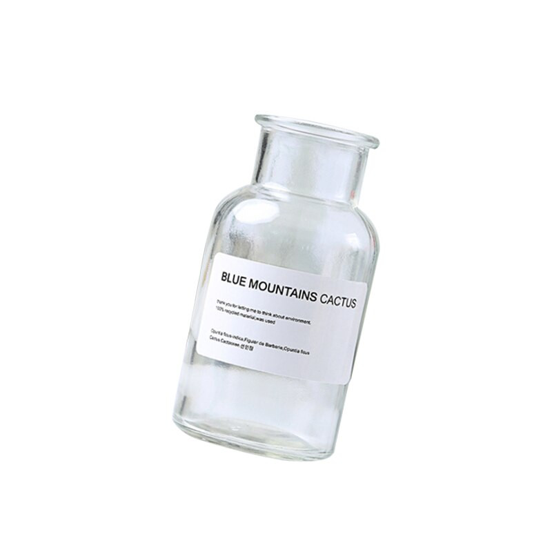 250/500 ml Illóolajokhoz Diffúzor díszek Olajpalackok szoba Nordic Parfüm Illat Légfrissítő Üres üveg