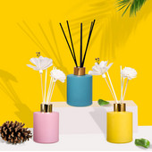 140 ml-es aromaterápiás illóolaj készlet levegőn szárított rattan party lakberendezési nád diffúzor pálca beltéri háztartási kiegészítők