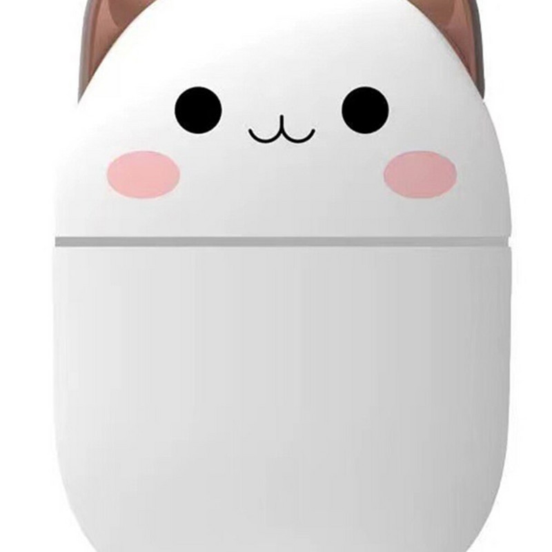 250 ml mini oro drėkintuvas su nakties apšvietimu USB nutildytas valytuvas Cool Mist Maker automobilių gamyklos valytuvas drėkintuvas kambario namų gaiviklis