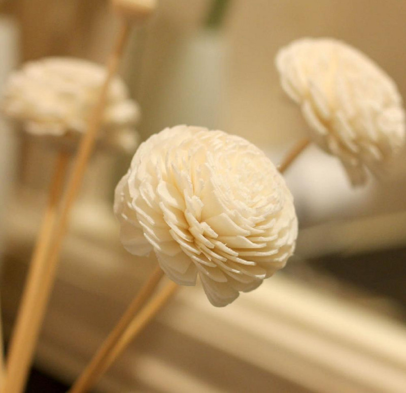 Aroma Reed Rattan Essential Oil Diffuser Set with Bottle Office Home άρωμα Exquisite Relieve Stress Ελαφρύ ξηρό λουλούδι