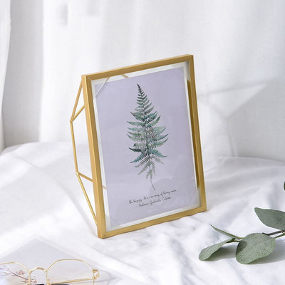 Senovinis metalinis nuotraukų rėmelis, stiklo spaustukas, džiovintų gėlių augalas, tapyba Plakatų laikiklis Nordic Ins namų darbalaukio dekoravimas