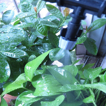 Dropshipping Fog Nozzles Micro Automatic Garden irrigation Kit Πότισμα Σωλήνας 10m Γκρι κεφαλή ψεκασμού με μπλουζάκι 4/7mm και βύσμα