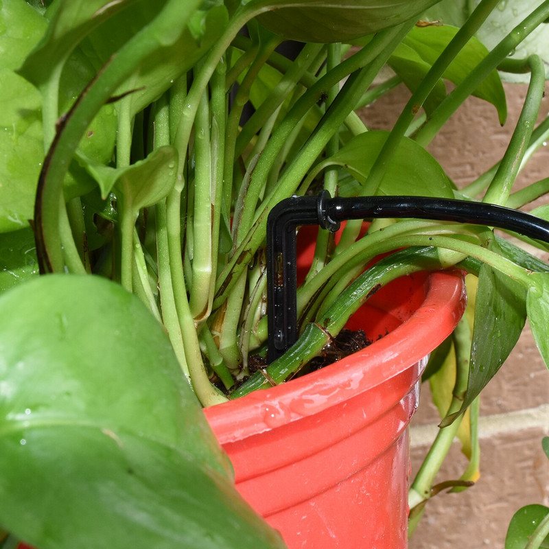 Üvegházhatású csepegtető öntözés 4-utas 2L 4L 8L 3/5 mm-es tömlő Arrow Kit Növénycserép Kerti Gyep öntözési kanyar csepegtető öntöző távadó