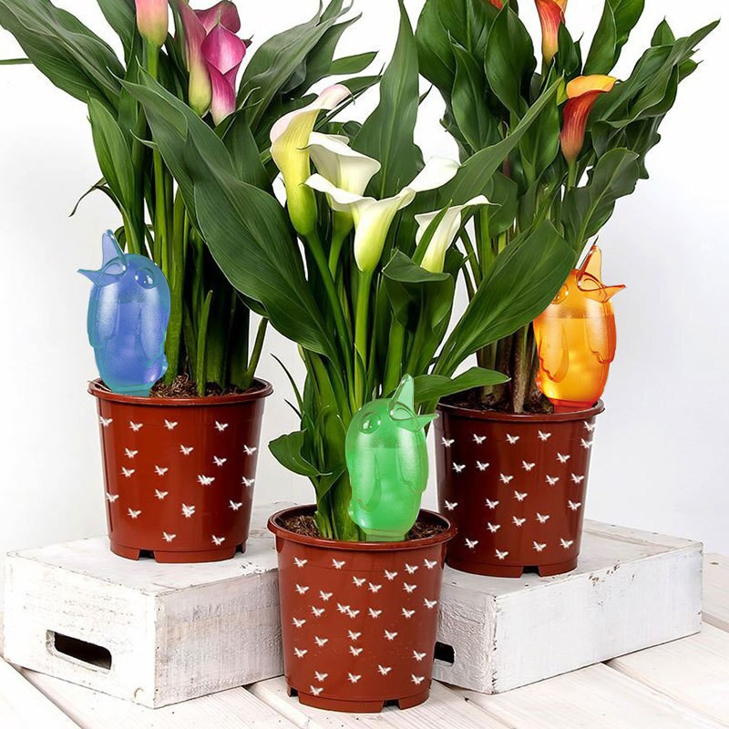 6 vnt. paukščio formos skaidrus augalų girdytuvas Skaidrus savaiminio laistymo prietaisas, kambarinių augalų laistymo lemputės, automatiniai lašelinio laistymo kuolai