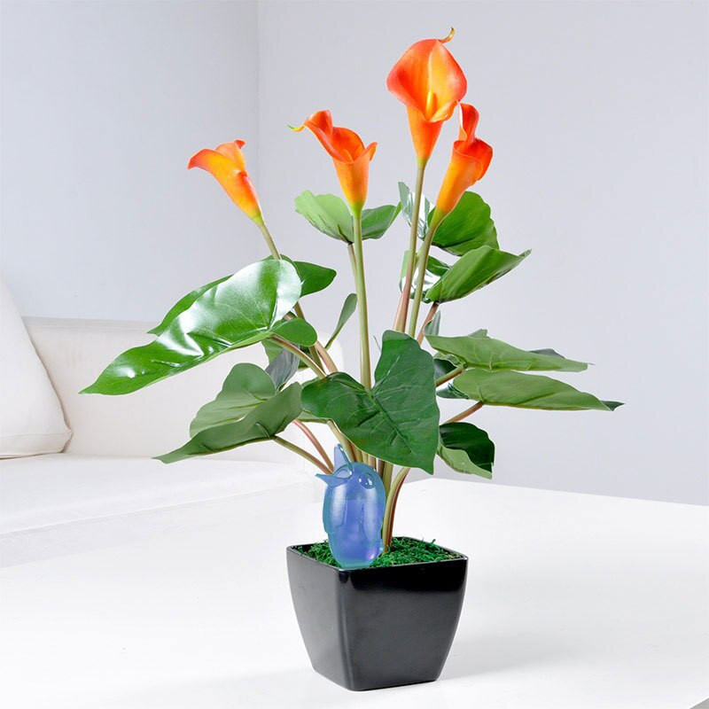 6 vnt. paukščio formos skaidrus augalų girdytuvas Skaidrus savaiminio laistymo prietaisas, kambarinių augalų laistymo lemputės, automatiniai lašelinio laistymo kuolai