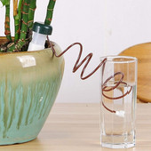 10 vnt. automatinio laistymo sodo reikmenų laistymo rinkinių sistema kambarinių augalų smaigaliai, skirti kambariniams sodo augalams vazonuose