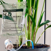 350 ml Augalų lašelinis drėkinimo maišelis Augalų gyvybę palaikantis lašelinės sistemos rinkinys Automatinis prietaisas, skirtas patalpose, lauke, laistyti vazonuose, kol nėra