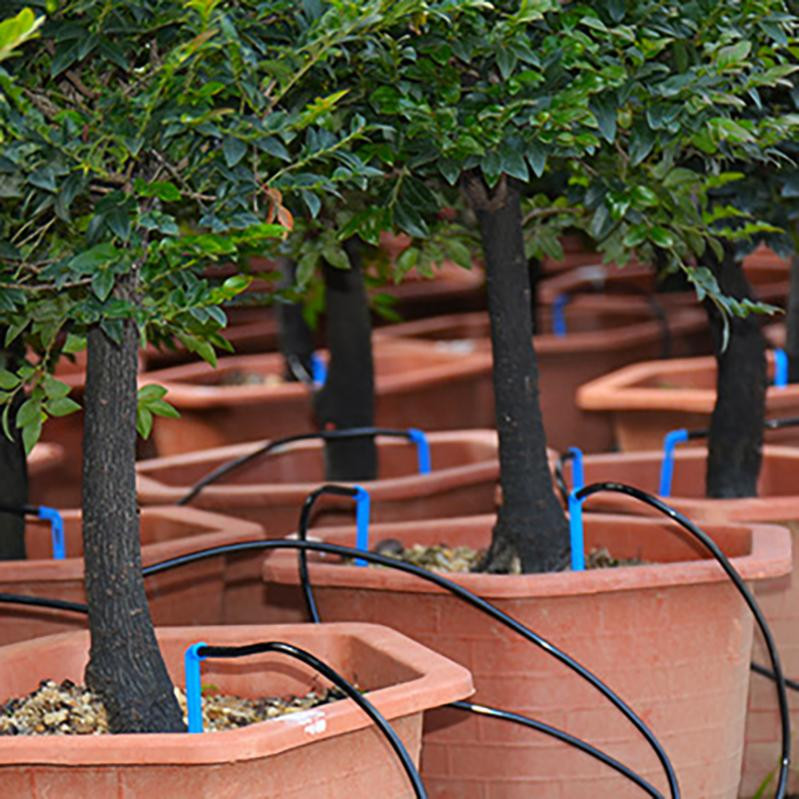 Sistem automat de udare Seturi de irigare prin picurare în mod dublu Mașină de udat cu temporizator pentru interior, exterior, casă, grădină, flori, plante