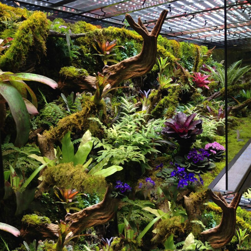 HEMAN Reptiles Misting System Kit Aquarium Mist Sprinkler Rainforest Tank 360 Állítható Pet Cooling System készlet