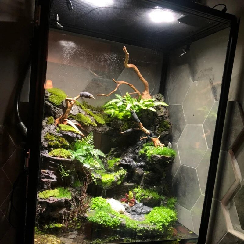 L357 Slip Lock Duze Mister Rainfall Atomization System pentru mușchi alpinism Pet Reptile Fogger Set