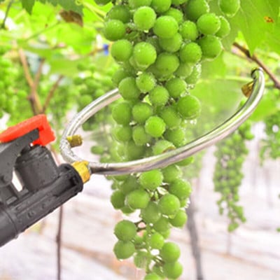 Пръскачка за пестициди Инструменти за грозде Селскостопански инструменти за насърчаване на плодове Киви Набъбване Повишаване на добива Дюза за ултра фина мъгла Високо налягане
