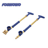 Pulverizator reglabil din alamă cu un singur/dublu cap Pulverizator manual cu împingere și tragere Pompă pentru plante cu flori de grădină Pistol de pulverizare Nebulizator portabil tip sticlă