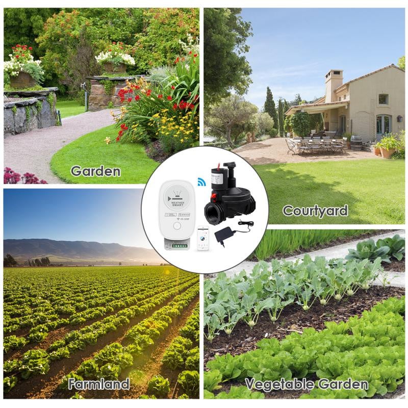 Tuya Wifi öntözőrendszer 16A kerti növény automatikus öntözési időzítő APP intelligens vezérlő mágnesszelep öntöző számítógép