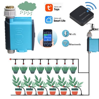 Έξυπνος αισθητήρας βροχής ποτίσματος WIFI Gateway Bluetooth Garden Water Timer Irrigation Artifact Automatic Remote Sprinkler Controller