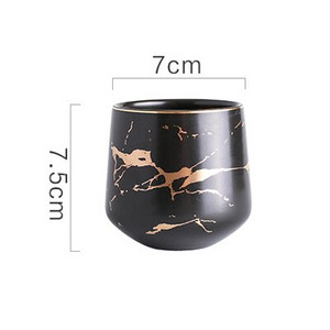 ANTOWALL Nordic arbatinukas marmurinis auksinės spalvos kavos puodelis 250 ml vandens puodelis gėrimų indai Juodai balti puodeliai