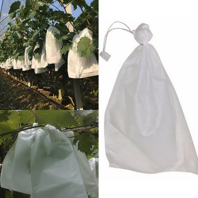 100 vnt vynuogių maišelių tinklelis daržovėms vynuogėms vaisių apsaugai auginimo maišelis iš OS tinklelio nuo vabzdžių kenkėjų kontrolės-paukščių namų sodas