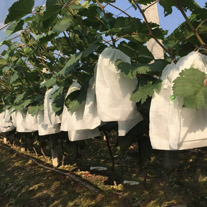 100 vnt vynuogių maišelių tinklelis daržovėms vynuogėms vaisių apsaugai auginimo maišelis iš OS tinklelio nuo vabzdžių kenkėjų kontrolės-paukščių namų sodas