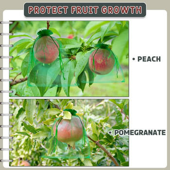 50 τμχ Τσάντες προστασίας σταφυλιού Τσάντες φράουλας φρούτων κατά των πουλιών Τσάντες καταπολέμησης παρασίτων στον κήπο με διχτυωτό Lychee Τσάντες φυτευτή κερασιών