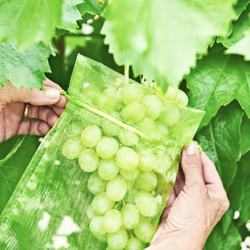50 DB Szőlővédő táskák Eper Gyümölcs Madárellenes Kerti Kártevőirtó zacskók Hálós Licsi Cseresznyetáska Ültetőzsákok