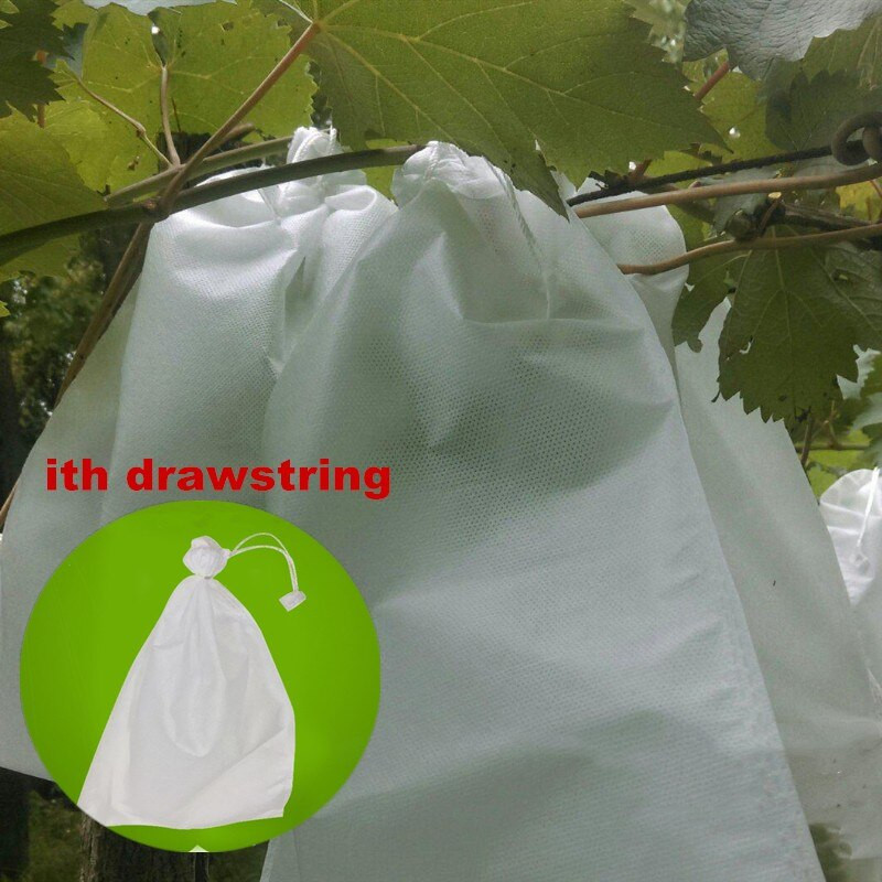 50 vnt / partija Daržovių vynuogių maišeliai Neaustinis audinys Obuoliai Vaisių apsaugos maišelis Maišelis Žemės ūkio kenkėjų kontrolėKovos su paukščiais tinkliniai maišeliai