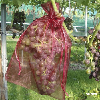 Градински мрежести торбички Грозде Чанти за защита на плодове 100 БР. Селскостопански овощни градини Контрол на вредители Мрежа против птици Торбички за зеленчуци