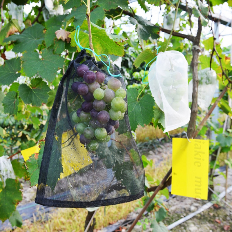 5-50 Fructe Legume Inserție Protectie Sacul de Cultivare Sacul de Protectie pentru Plante Anti Păsări Snur Plasă de nailon Control dăunător agricol