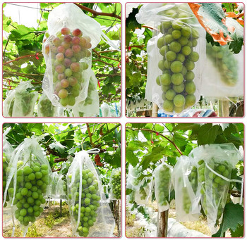 100 БР. Големи торби за защита на плодове от грозде Борба с вредители против птици Градинска мрежа Мрежа за грозде Голям размер Торби за отглеждане