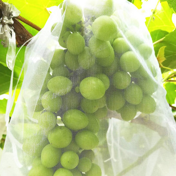 100 БР. Големи торби за защита на плодове от грозде Борба с вредители против птици Градинска мрежа Мрежа за грозде Голям размер Торби за отглеждане