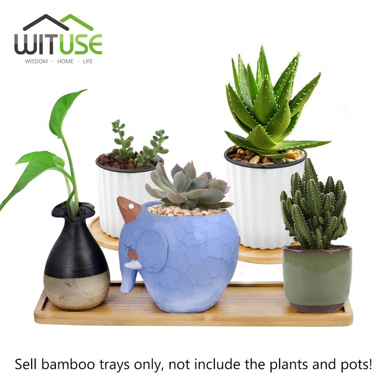 1PC 14 Дизайнерски държач за саксия Месеста подложка за бонсай Бамбукова тава Дървена тава за саксия Декорация за домашен офис Саксии Саксии Поставка за мат