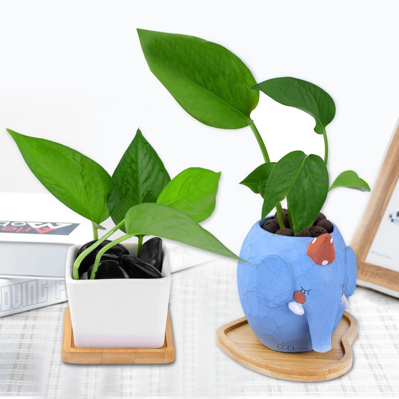 Suport pentru tavă din bambus, 2 buc, decorarea casei, ghiveci de grădină, farfurie, depozitare, plante de birou, ghiveci, farfurie, accesorii, ornamente