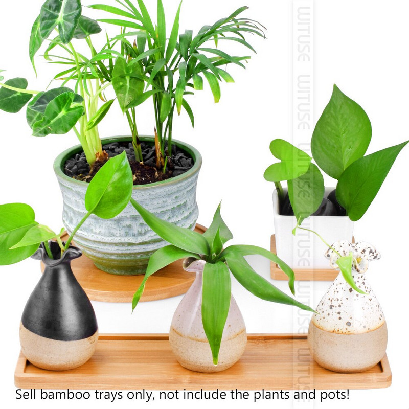 Suport pentru tavă din bambus, 2 buc, decorarea casei, ghiveci de grădină, farfurie, depozitare, plante de birou, ghiveci, farfurie, accesorii, ornamente