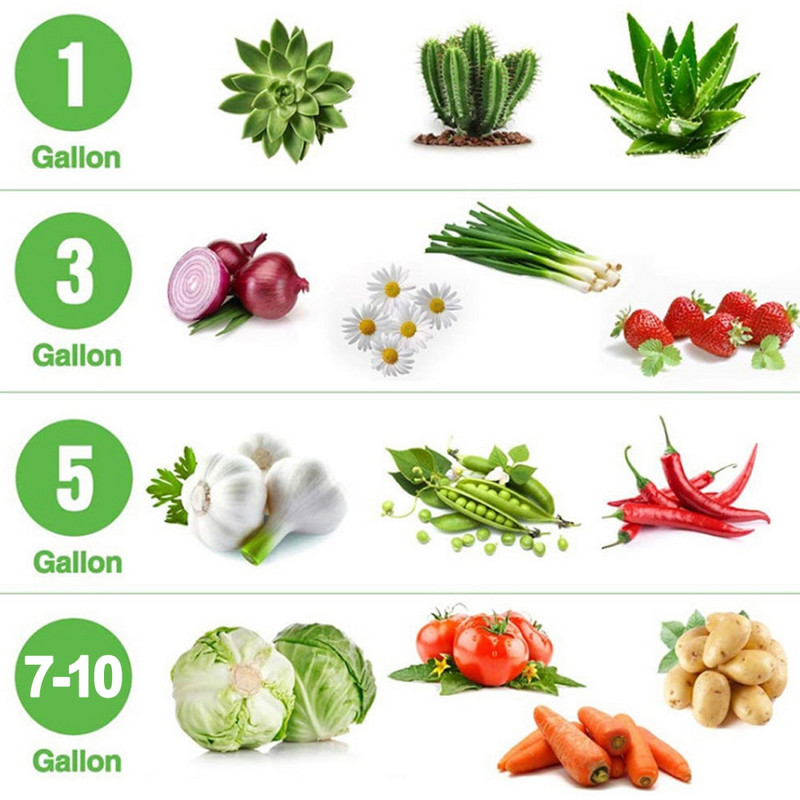 Kangast taimepotid Kasvatuskotid 1/3/5/7/10 gallonit aiandus köögiviljade tomatite maasikakasvatuse istutusmasin aia kartuli istutuspotid