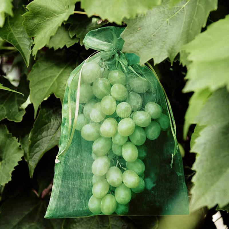 50/100 buc saci de plasă de grădină pentru legume, struguri, mere, fructe, pungi de protecție pentru controlul dăunătorilor agricoli, saci de struguri din plasă anti-păsări