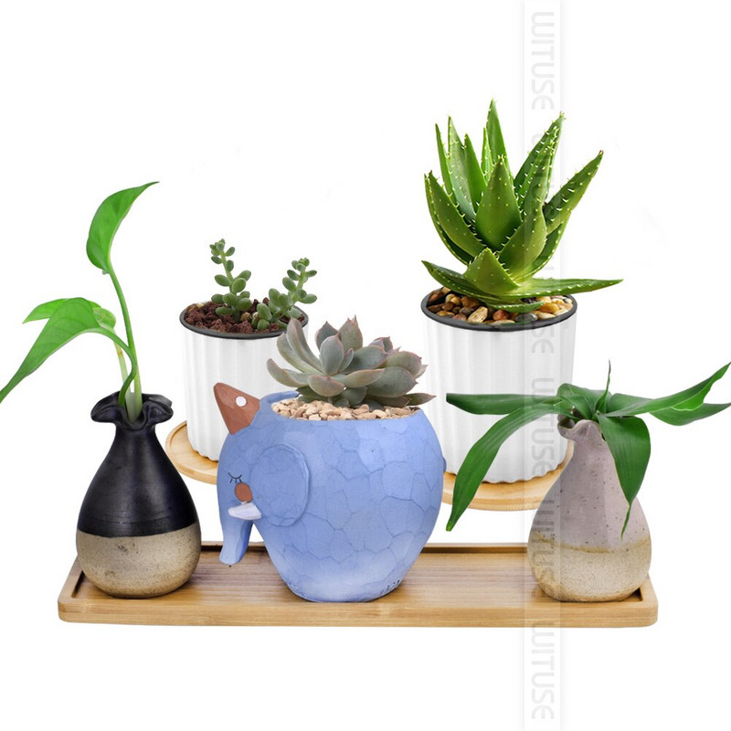 14 Tyles bambusz tálca bonsai tartó otthoni erkély bambusz fa virágcserép tartó virág ültető tálca kertészeti kiegészítő
