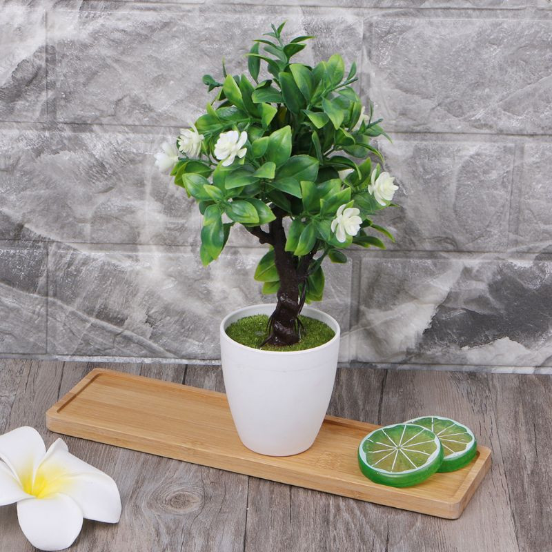 Farfurioara din lemn de bambus de forma ovala Tava pentru plante Mini ghiveci pentru plante StandX Design Home Jardiniere pentru balcon pentru plante de interior plan stand