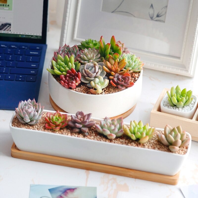 Ghivece rotunde pătrate pentru flori Tavă din bambus Design simplu Mini ghiveci pentru plante Suport pentru grădinărit Suport anti-decolorare Decor pentru casă